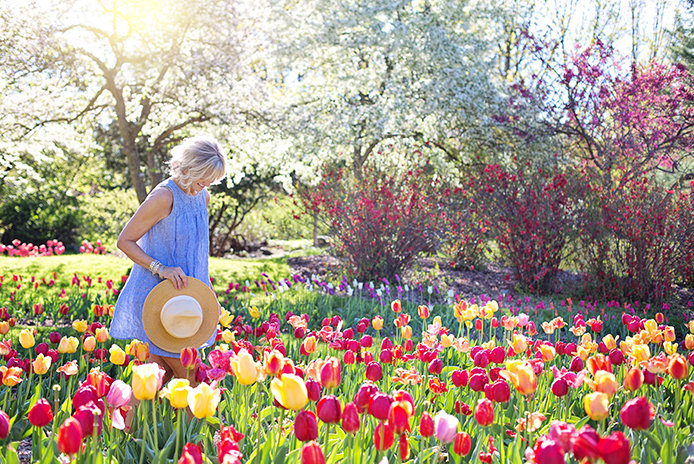What colors of flowers should I plant?